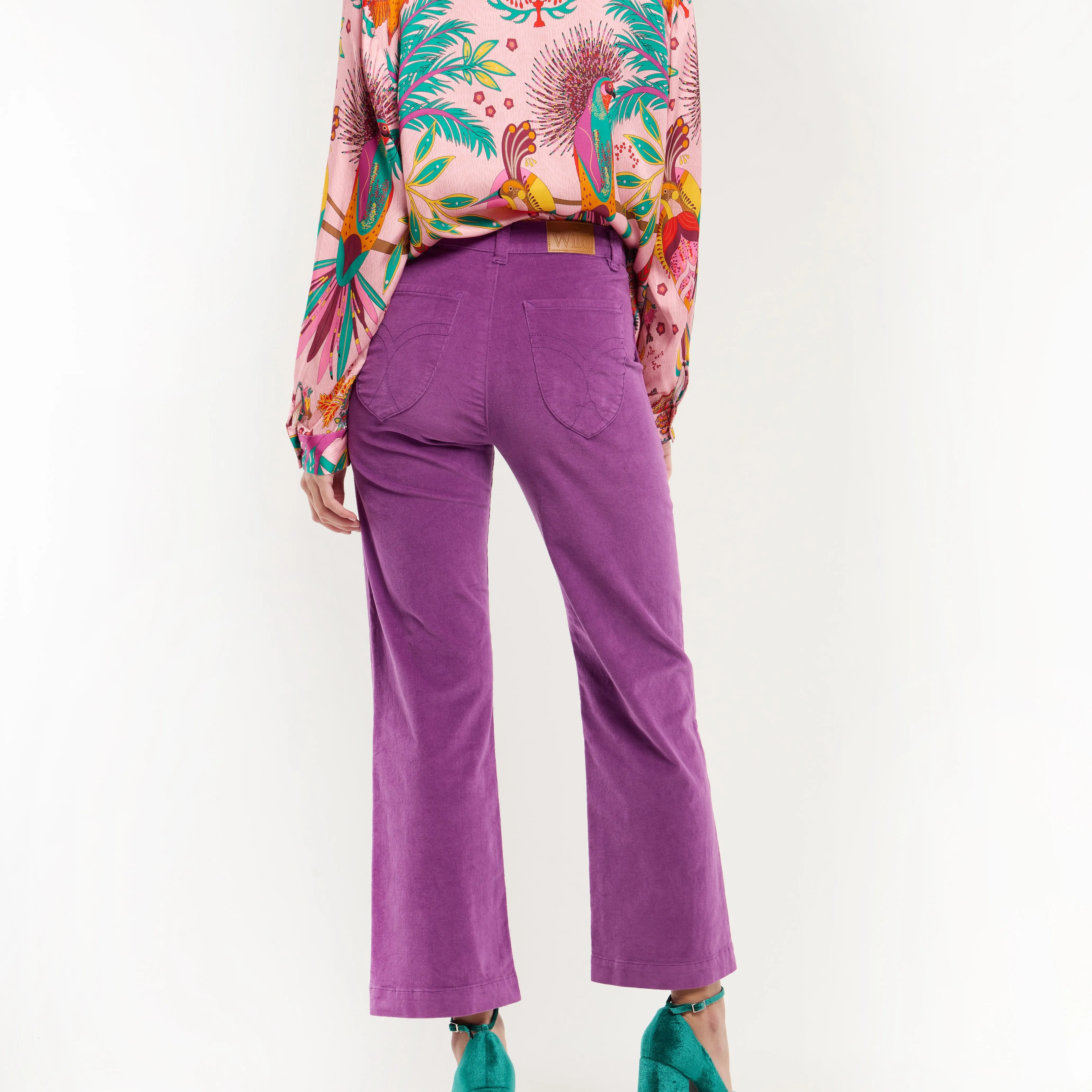 HARRY Pant Violet